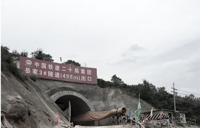 ���{�ŷŬF��